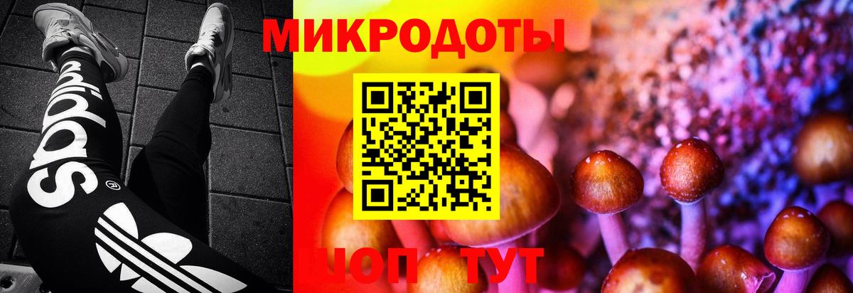 Псилоцибиновые грибы MAGIC MUSHROOMS Пугачёв